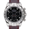Rolex Daytona 116519 with black dial and 18ct white gold case