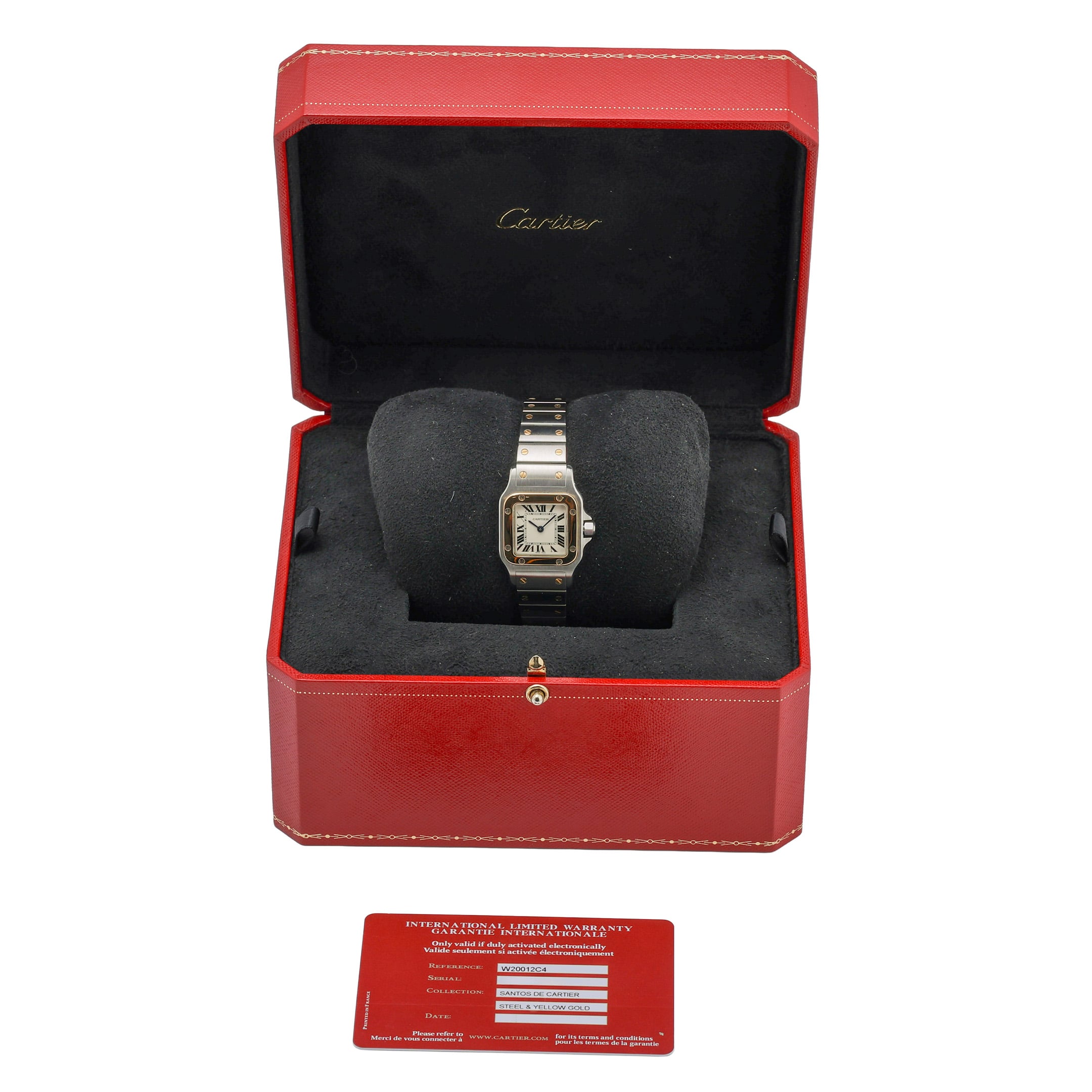 Cartier Santos image 2