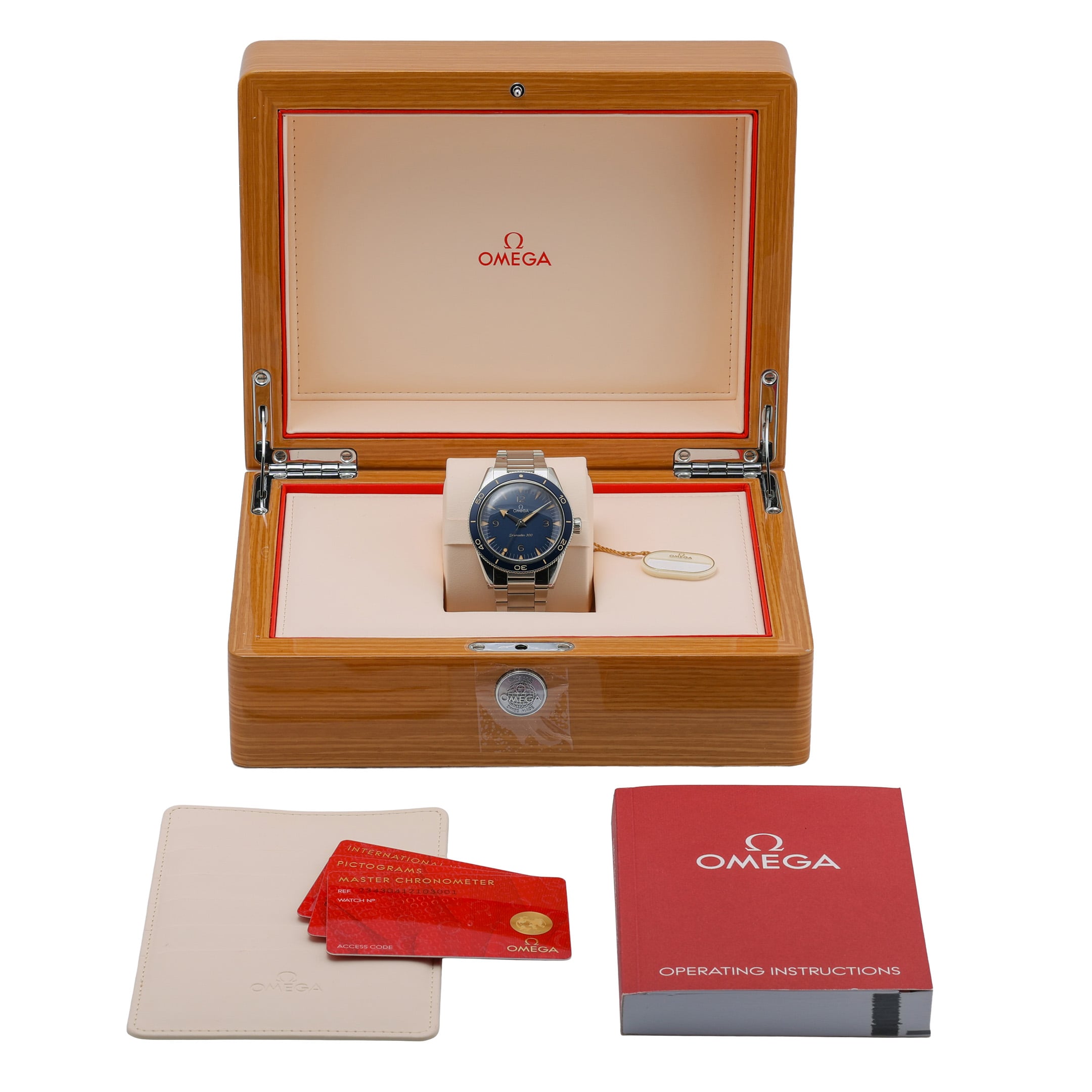 Omega Seamaster 300 image 2