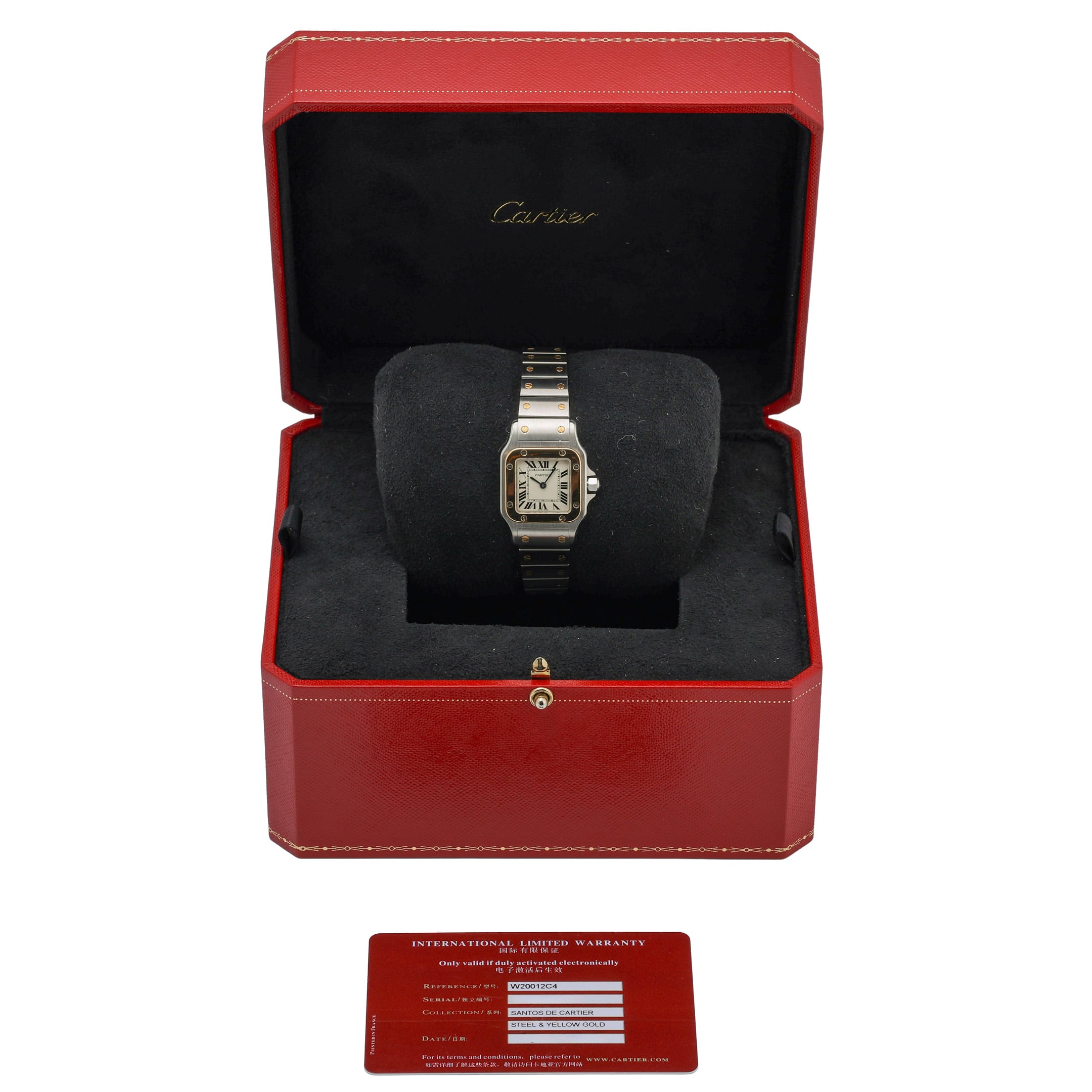 Cartier Santos image 2