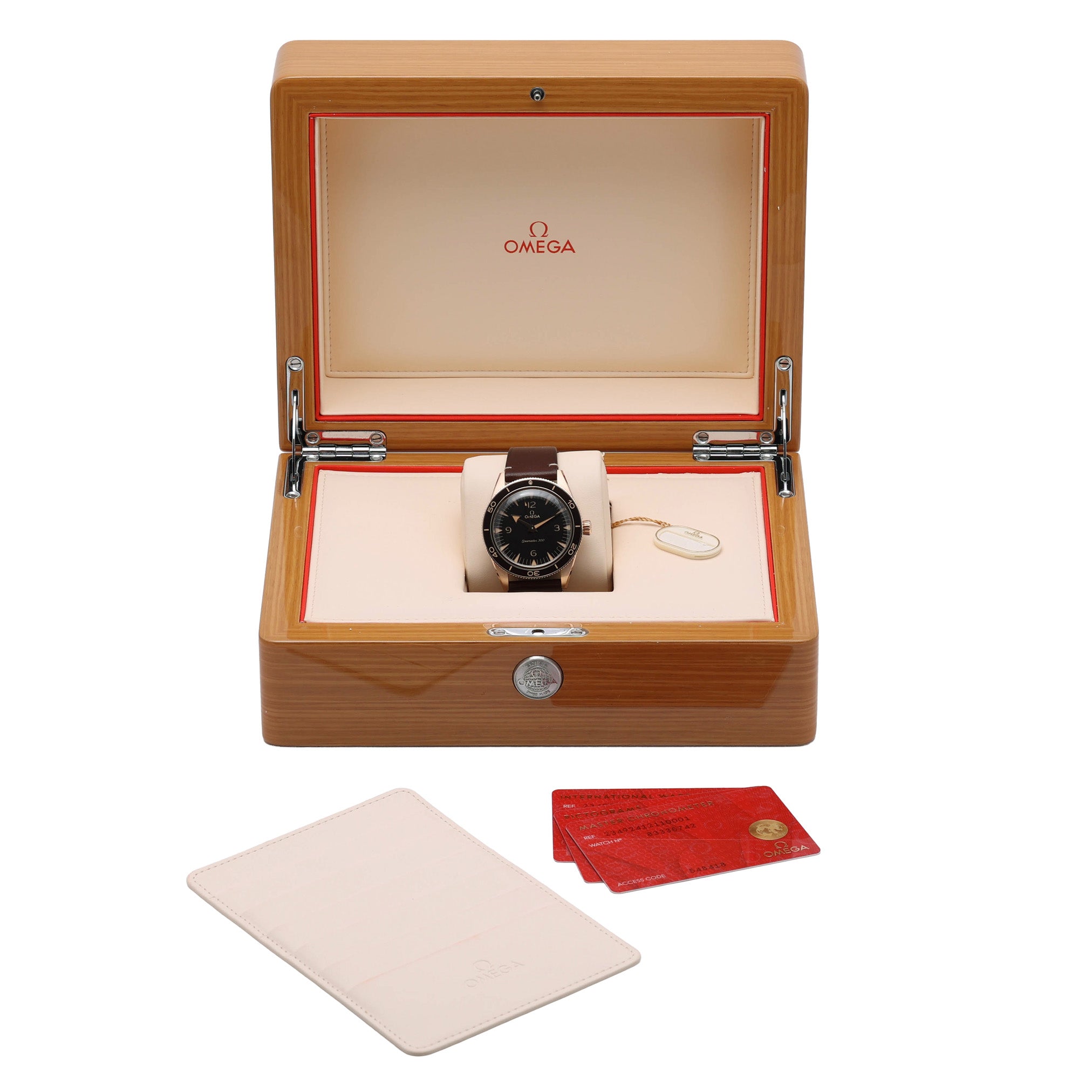 Omega Seamaster 300 image 2