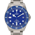 Tudor Pelagos image 1