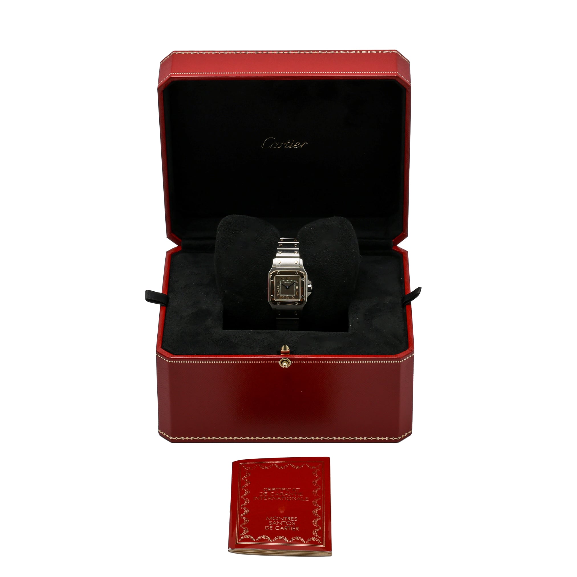 Cartier Santos image 2