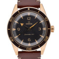Omega Seamaster 300 image 1