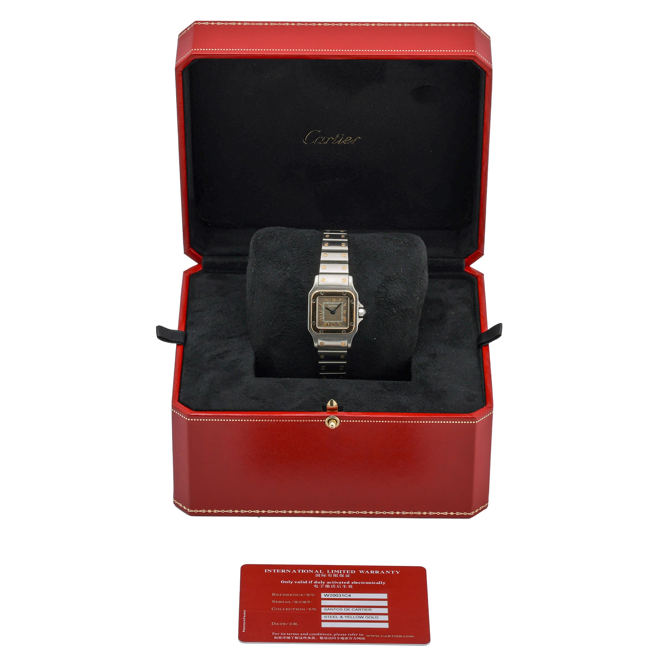 Cartier Santos image 2