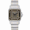 Cartier Santos image 1