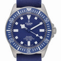 Tudor Pelagos FXD image 1